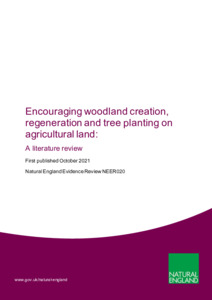 Literature review woodland 04 picture