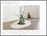 [thumbnail of Landscapes+of+Hope+Press+Release.pdf]