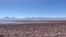 [thumbnail of SO Final SO Film for Coleman Final Credit Vecteezy when uploading 08.21.45.mp4]