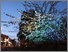 [thumbnail of Photo credit Susie Olczak. Work by Olczak and Mark Venegoor]
