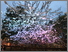 [thumbnail of Photo credit Susie Olczak. Work by Olczak and Mark Venegoor]