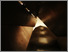 [thumbnail of Final print two.tif]