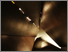 [thumbnail of Final Print three.jpg]