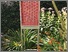 [thumbnail of Work was then shown in a private garden in the UK Photo credit Susie Olczak]