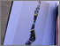 [thumbnail of Ingram Prize catalogue .png]