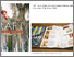 [thumbnail of Susie Olczak 6th March.pdf]