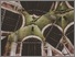 [thumbnail of Copyright Susie Olczak]