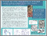 [thumbnail of © Katie Forrester 2024]